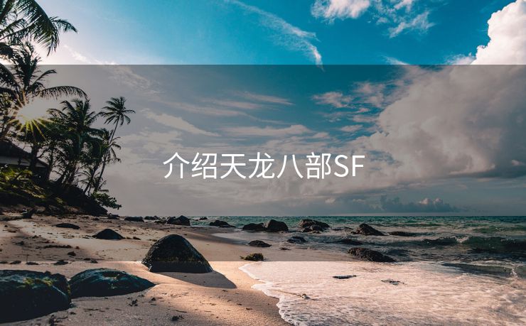 介绍天龙八部SF