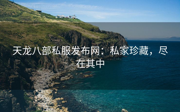 天龙八部私服发布网：私家珍藏，尽在其中