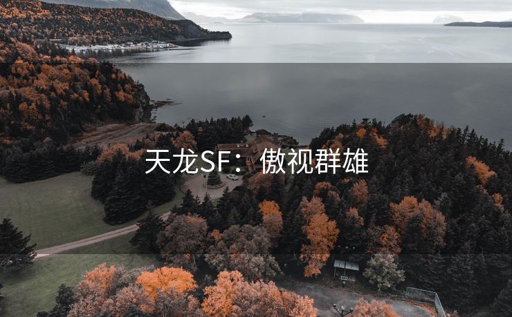 天龙SF：傲视群雄