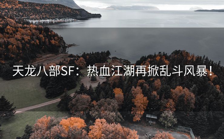 天龙八部SF：热血江湖再掀乱斗风暴！