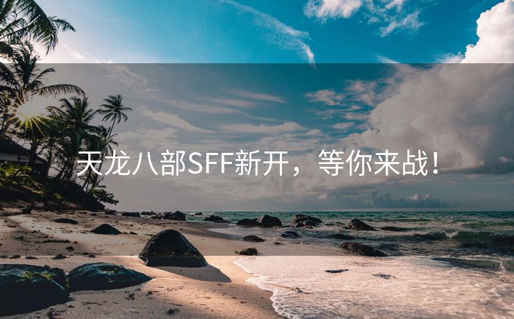 天龙八部SFF新开，等你来战！