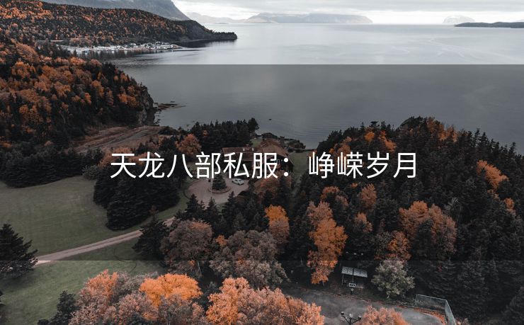 天龙八部私服：峥嵘岁月