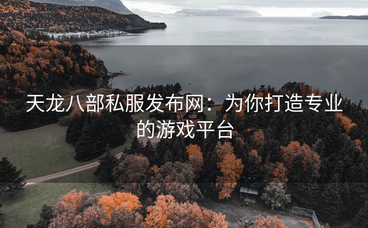 天龙八部私服发布网：为你打造专业的游戏平台